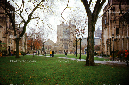 Yale University, New Haven, Connecticut