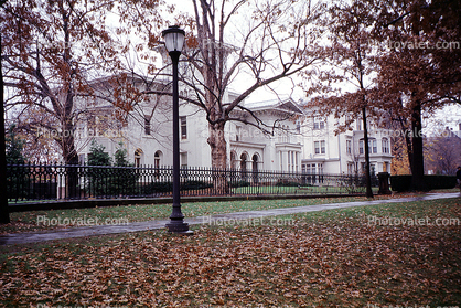 fallen leaves, campus building, sidewalk, Yale University, New Haven, Connecticut