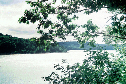 Harriman Reservoir, lake, water, trees, Vermont