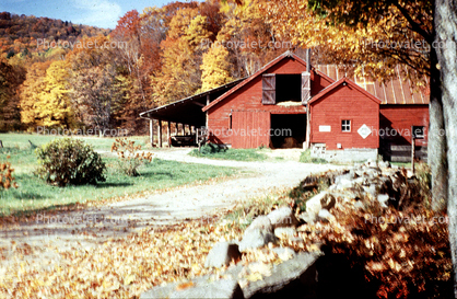Barn, Grafton, Vermont, autumn
