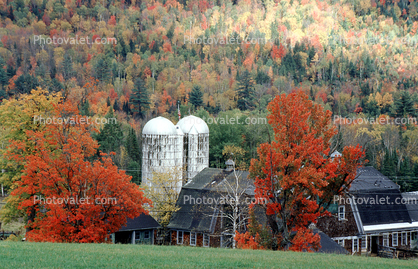 Fall Colors, Silo, Trees, Jackson, New Hampshire, autumn