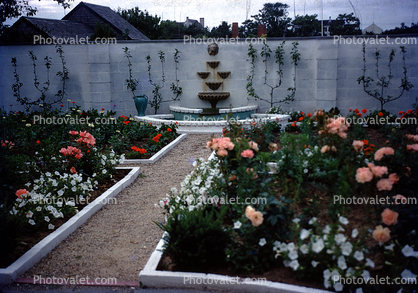 Rose Garden, pond, fountain