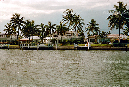Ocean Front, Houses, Palm Trees, Water, 1950s
