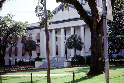 Government Building, Columns