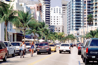 Cars, Palm trees, buildings, Automobile, Vehicle