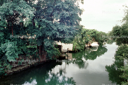 Bayou, Boats, Trees