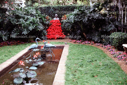 Pond, garden, statue, Poinsettia Dress, Flamingo statue, Ft. Meyers