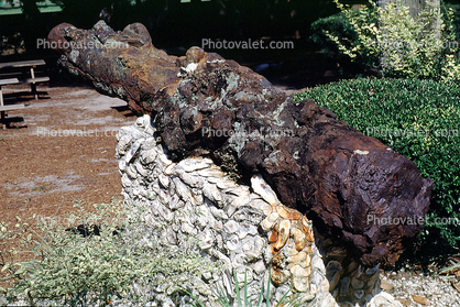 Rusty Cannon, Fountain of Youth, Artillery, gun, 31 May 2003