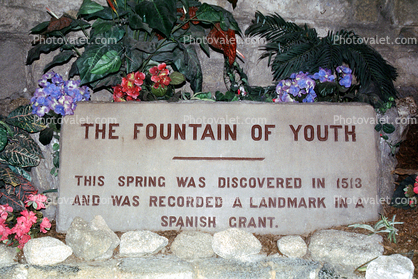 Fountain of Youth, 31 May 2003