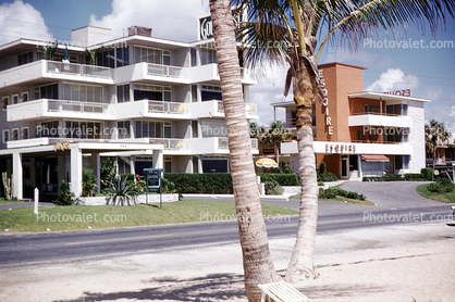 Esquire Hotel, Road, Tree, Building, South Beach