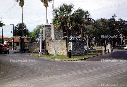 Entrance, Street, Palm Trees