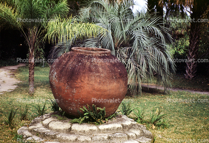 Jug, Fountain of Youth, Saint Augistine