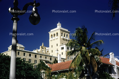 Hotel Building, Tower, Palm Beach, 1954, 1950s