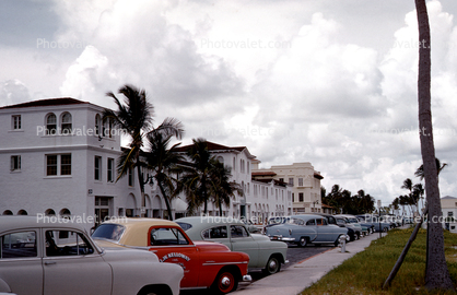 Parked Cars, Palm Beach, 1954, 1950s