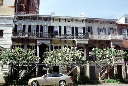 Buildings, Car, Magnolia Trees, Savannah