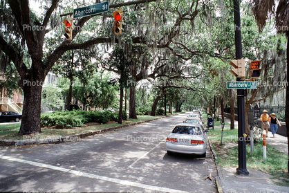Park, Trees, Sidewalk, cars, Abercorn Street, hanging moss, Historic Savannah