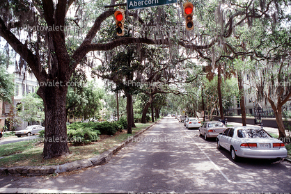 Park, Trees, Sidewalk, cars, Abercorn Street, hanging moss, Historic Savannah