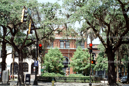 Park, Trees, Savannah