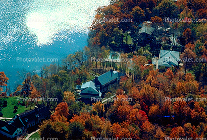 Forest, Woodlands, Franklin Lakes, autumn, 1950s