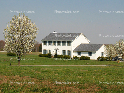 Springtime, Trees, Lawn, House, Home, Exterior, Outdoors, Outside, Building, domestic, domicile, residency, housing, Dover