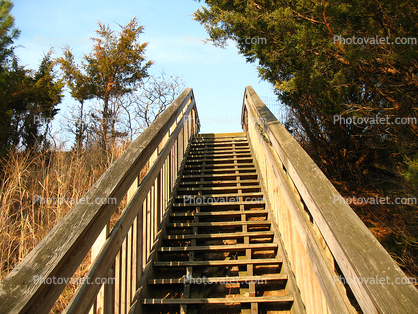 Stairs, Steps, Staircase, Henlopen State Park