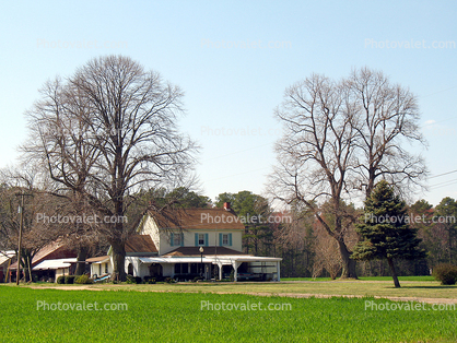 Home, House, Bare Trees, Forest, Lawn, Building