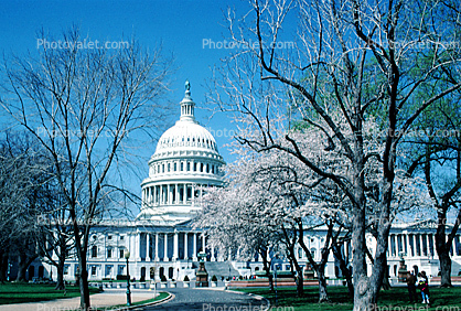 Cherry Blossom Festival, United States Capitol