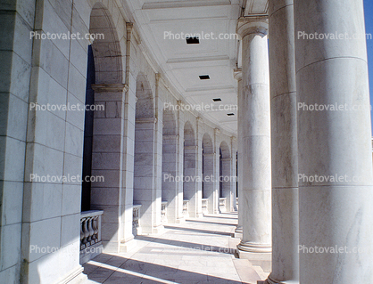 Curved, columns