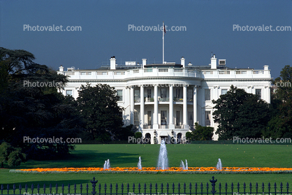 White House Water Fountain, lawn, garden, trees, Aquatics