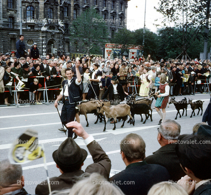 Goats, Parade