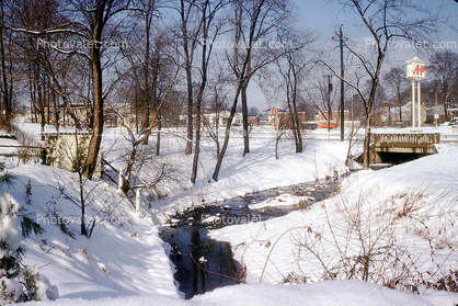 Stream in the Snow, Trees, Havertown, 1963, 1960s