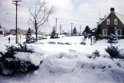 Icy Home, House, Single Family Dwelling Unit, Snow, Havertown, 1956, 1950s
