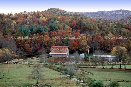 Barn, Forest, Woodlands, Autumn Colors, Appalachia, near Fontana