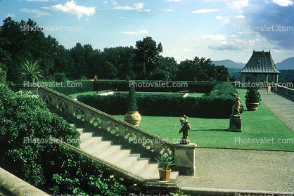 gardens, Biltmore Estate, Asheville, August 1958, 1950s