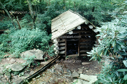 Log Cabin, Forest, roof, building
