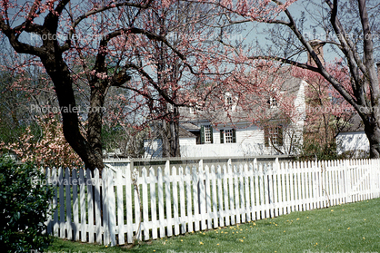 White Picket Fence, Springtime