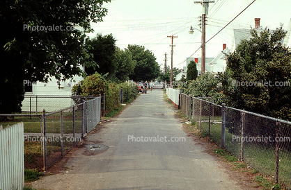 Pathway, fences, July 1974, 1970s