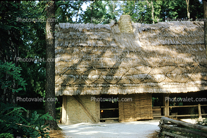 thatched roof, building, Sod