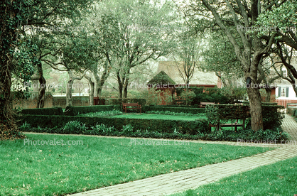 Red Lion Garden, pathway, trees