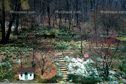 Garden, steps, little house, dollhouse