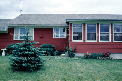 Home, House, Front Lawn, tree, Summer, single family dwelling unit