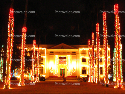 Lighted Trees, Lihue