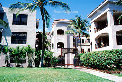 Building, lawn, palm trees, bush, walkway