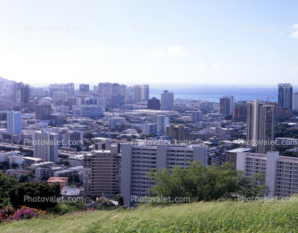 Cityscape, skyline, buildings, highrise, skyscrapers