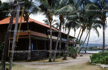 palm trees, building, Kona Inn