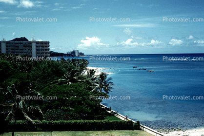 palm trees, beach, sand, Waikiki