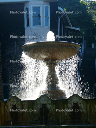 Water Fountain, aquatics, PPIE