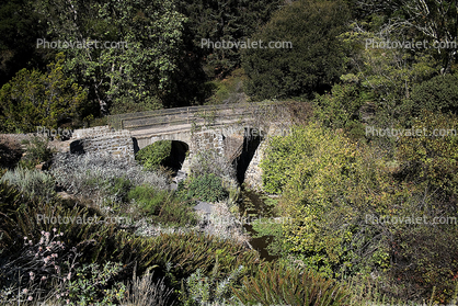 Stone Bridge Tilden Park