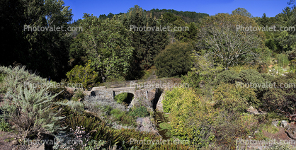 Stone Bridge Tilden Park