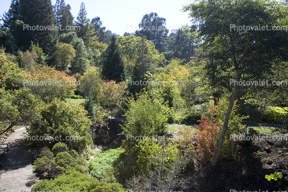 Tilden Park